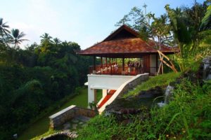 8 Best Vegan & Vegan-Friendly Resorts In Bali 2024 - Veggies Abroad