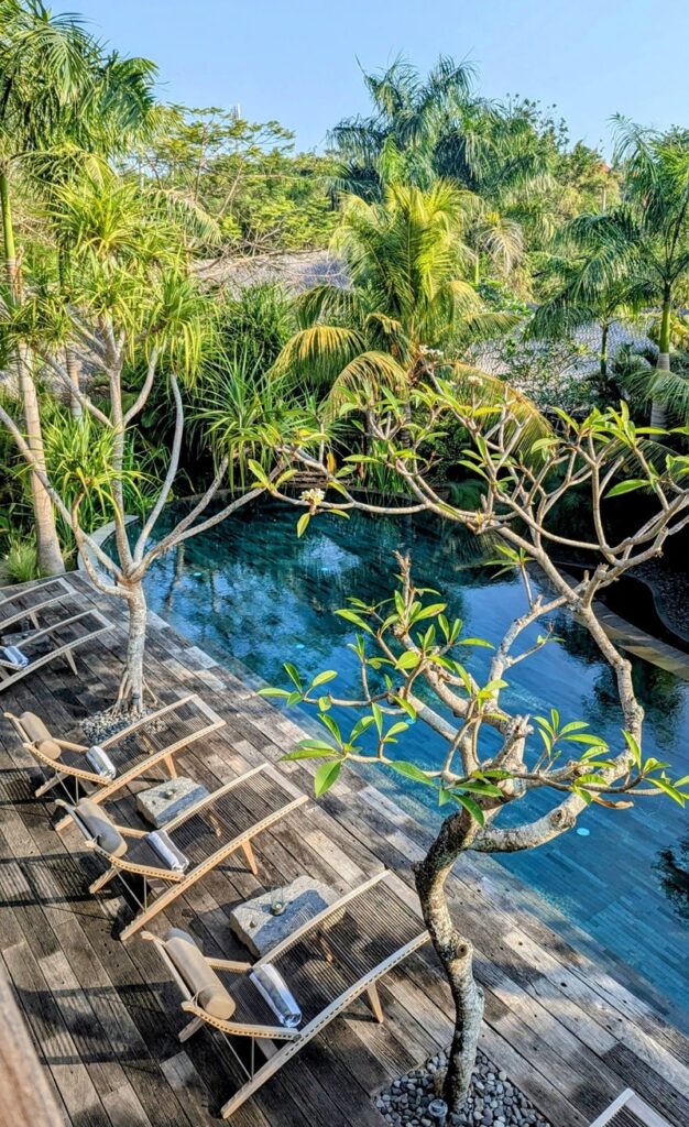 over head shot of the infinity pool surrounded by lush greenery at asa maia