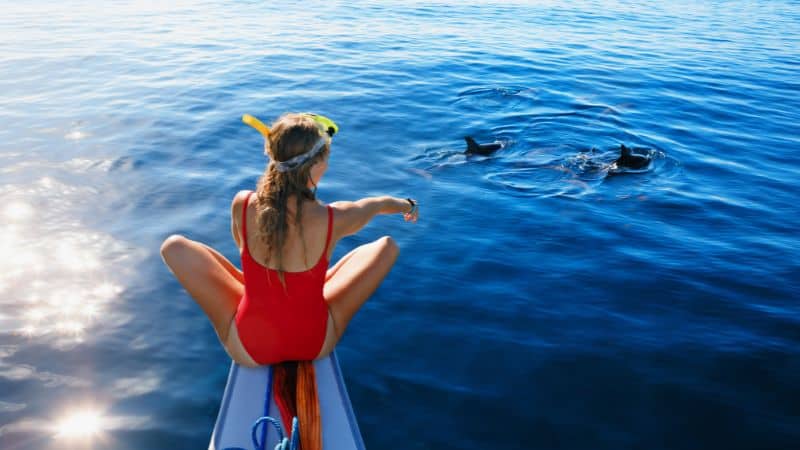girl watching dolphins from the edge of a boat