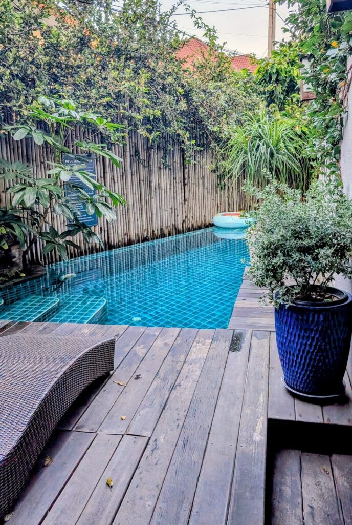 small swimming pool surrounded be green vines at vegan hotel green tiger house in chiang mai thailand