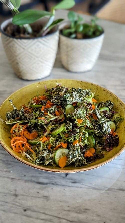 a large kale salad with bits of orange carrot and other veggies on a marble table at the palmaia resort in playa del carmen