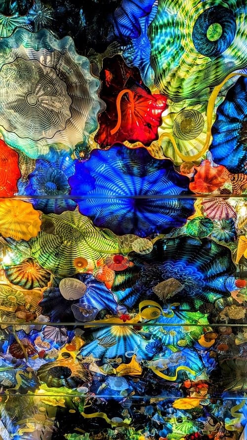 colorful ceiling filled with hand blown glass at the norton museum of art in west palm beach