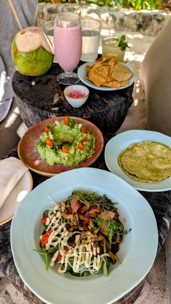 vegan mushroom taco mixture with a bowl of guac, house made tortillas and two colorful drinks beachside at the palmaia