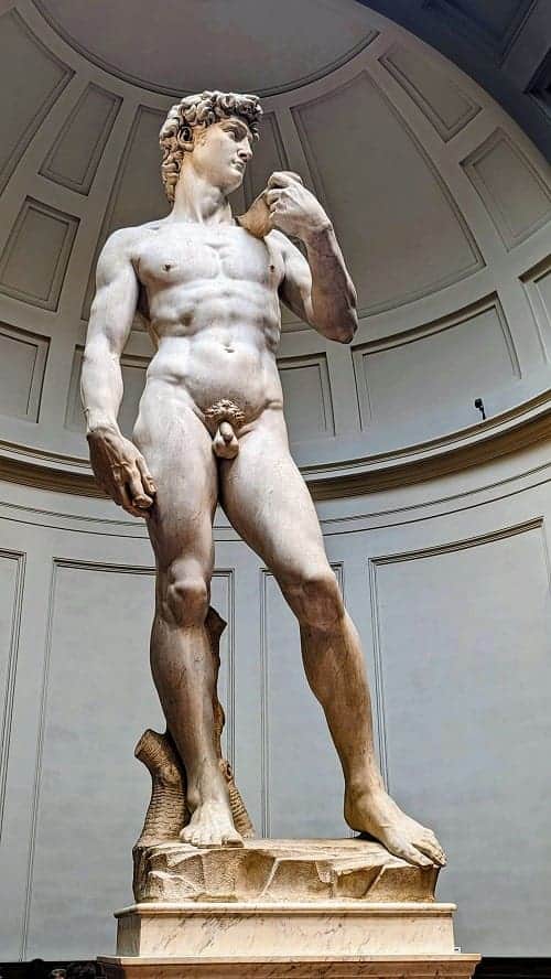 the giant marble david statue inside of the Accademia Gallery in florence