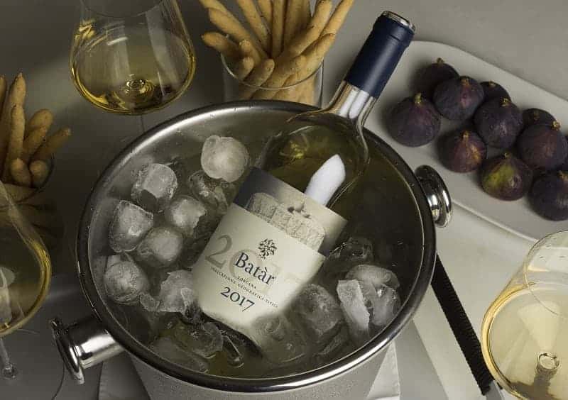 a bottle of vegan wine from Querciabella in a steel wine tub surrounded by ice
