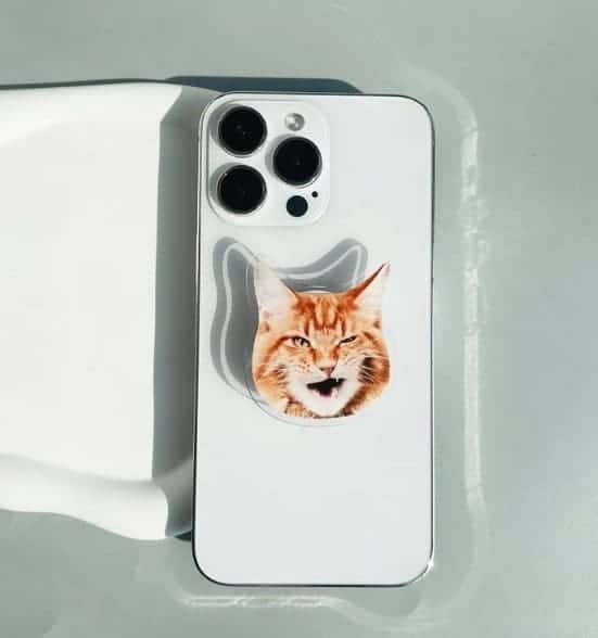 a photo of an orange cat winking made into a phone grip