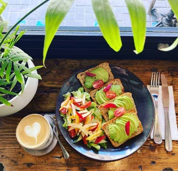 a plate of vegan avocado toast with a green salad next to a latte topped with a heart at the mandala society in morocco