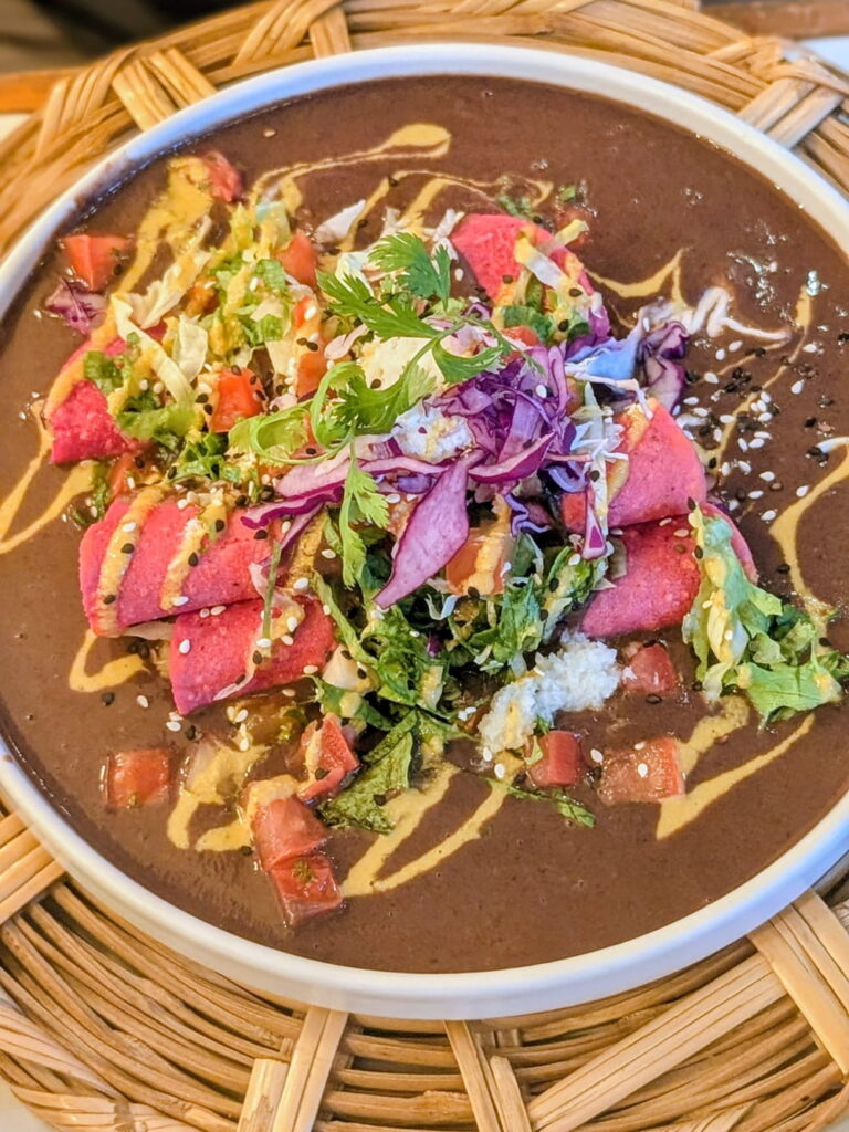 black bean dish with a pink tortilla in the middle in cdmx