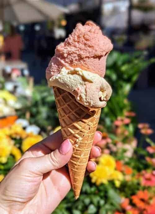 two scoops of vegan ice cream on a cone in copenhagen