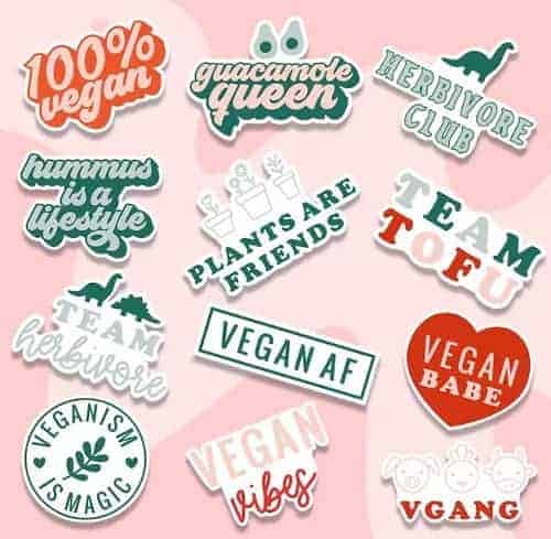 a variety of colorful vegan stickers on a pink background