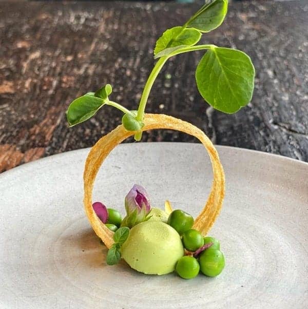 unique spring pea dish with a pea sprout on top of a round pastry at dirt candy in nyc