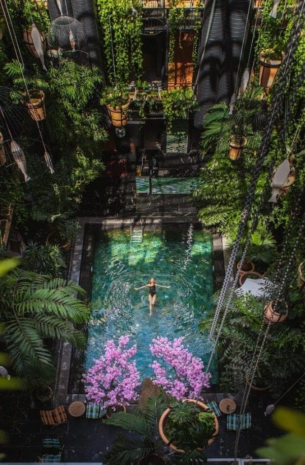 lush garden space surrounding a pool at the eco friendly copengahen hotel manon les suites