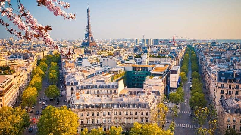 the skyline of paris with the Eifel tower popping up in the background and cherry blossoms in the foreground