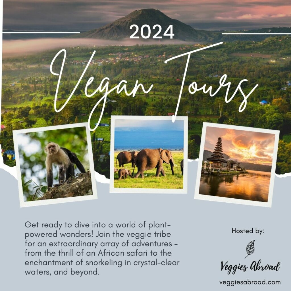 vegan tour promo showcasing different destination's scenery in wildlife for 2024