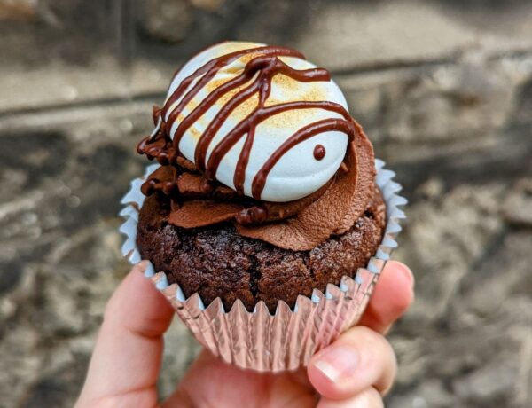 a single chocolate vegan cupcake topped with marshmallow fluff with a drizzle of chocolate in edinburgh