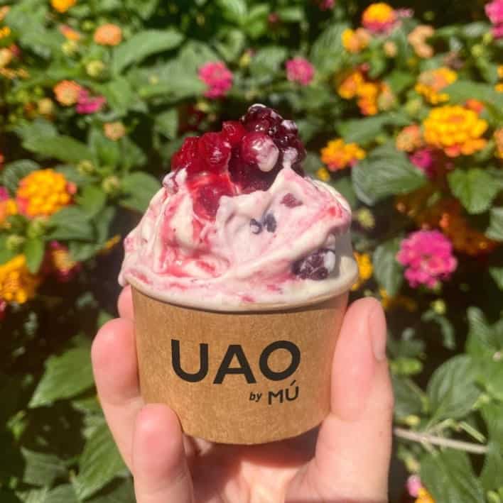a scoop of partially melted vegan gelato topped with fresh berries in a paper cup on a sunny day in lisbon