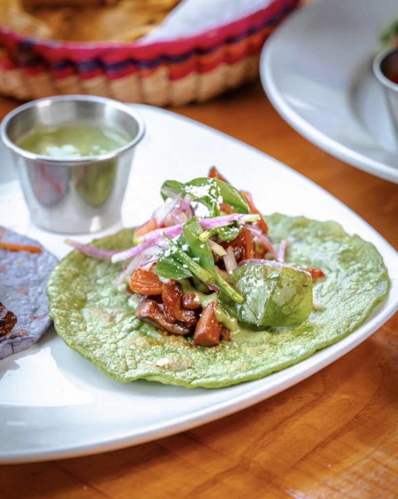 Mushroom Carnitas Taco with cactus salad and avocado salsa 