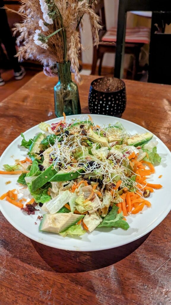 a large white bowl filled with colorful veggies and topped with a light dressing at the vegan-friendly restaurant appaloosa in mykonos