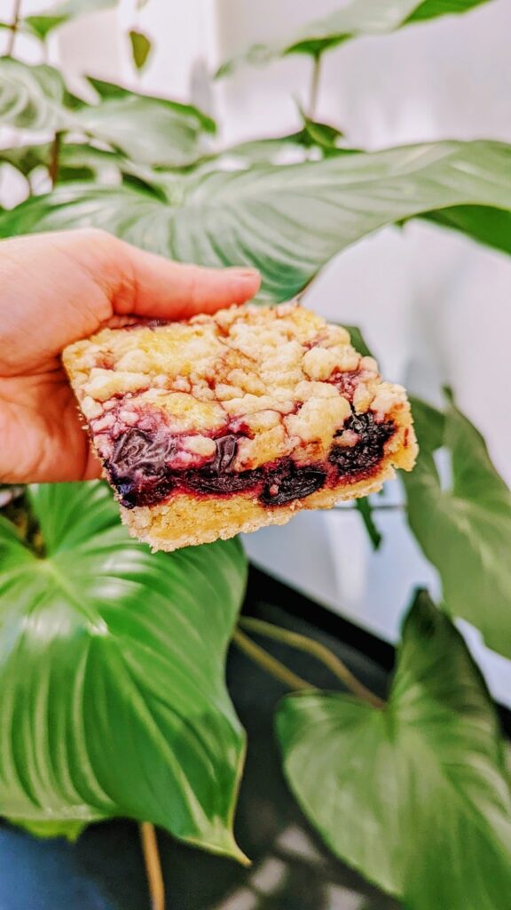 a vegan berry crumble bar held in front of a large leafy green plant at bakery bakery
