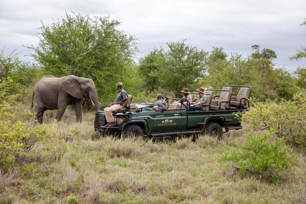 a green safari jeep with a tracker, driver and a couple of guests watching one large elephant in the african bush