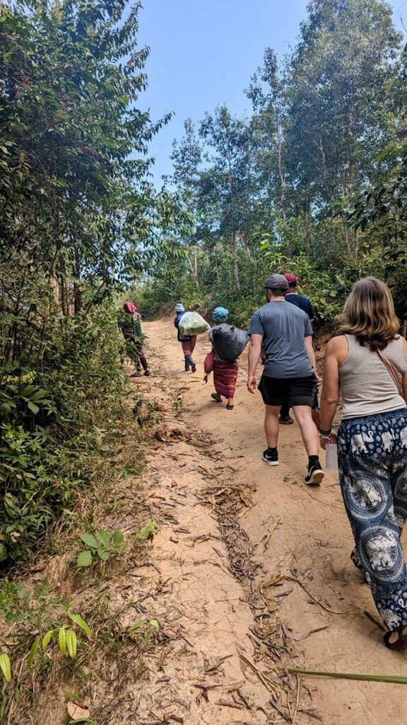 a group hiking into the forest in thailand to observe elephants