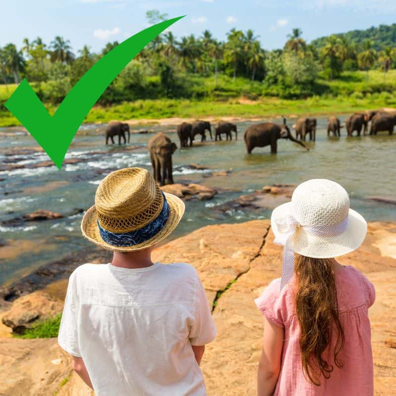 ethical elephant activity of two people watching elephants in their natural habitats from a safe distance