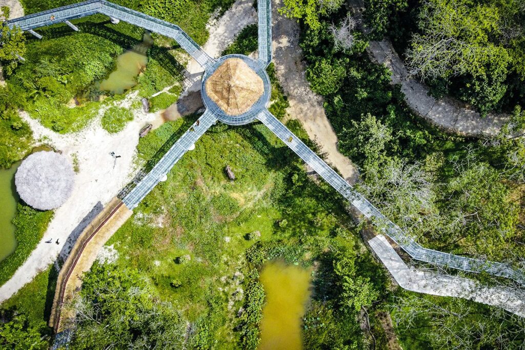 an overhead photo of the large canopy walk that allows visitors to watch elephants from a distance at phuket elephant sanctuary