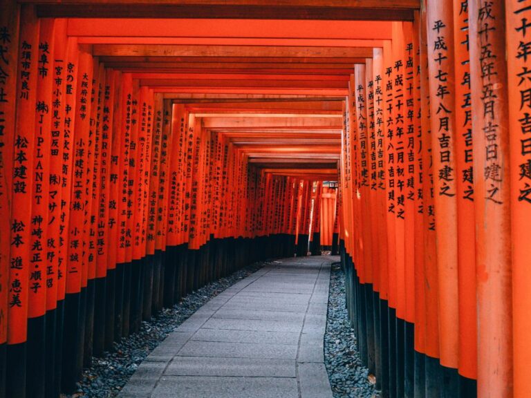 an empty path through the middle of an orange shinto shrine with writing on the sides in black in japanese in japan