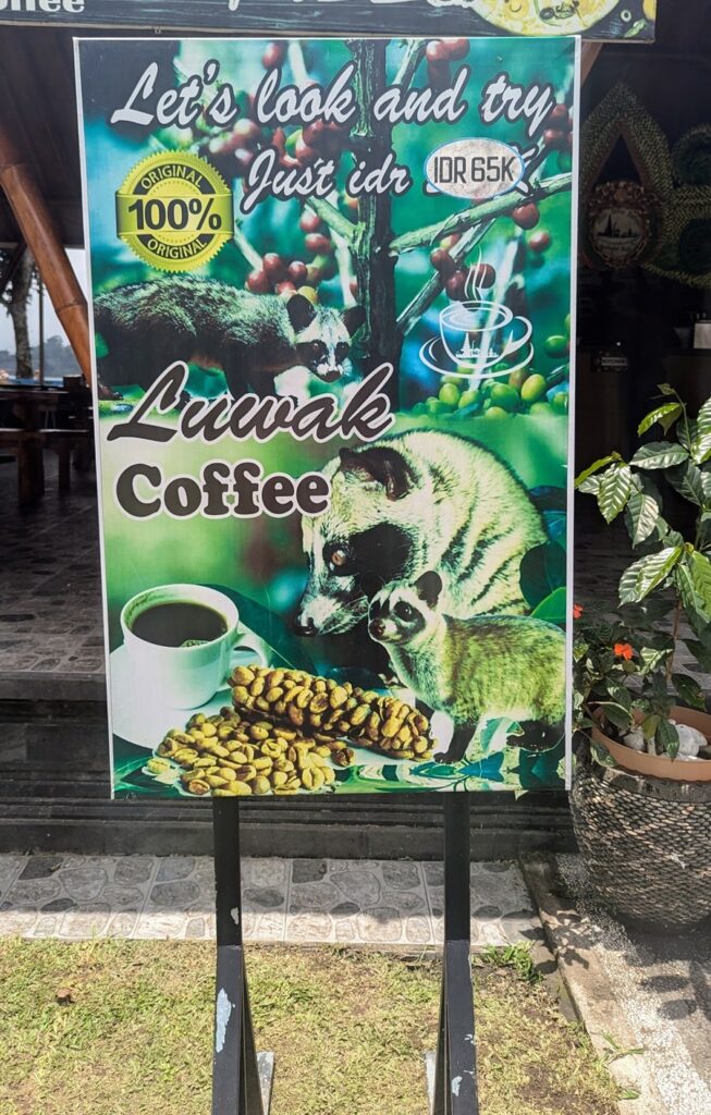 a poster promoting unethical luwak coffee that is produced by forcing civeks to ingest coffee beans and then picking them out of their poop