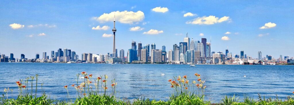 toronto skyline from across the water with pretty flowers in the foreground