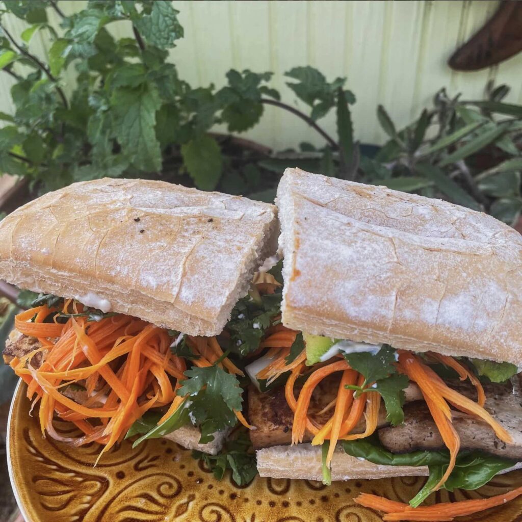 Close up of Bahn Mi sandwich: ciabatta bread, tofu, rice, cilantro and avocado. Plants in the background.