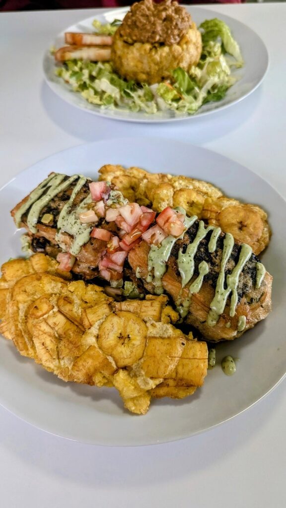 fried tofu covered with a green sauce drizzle and surrounded by tostones at semilla congreka in san juan