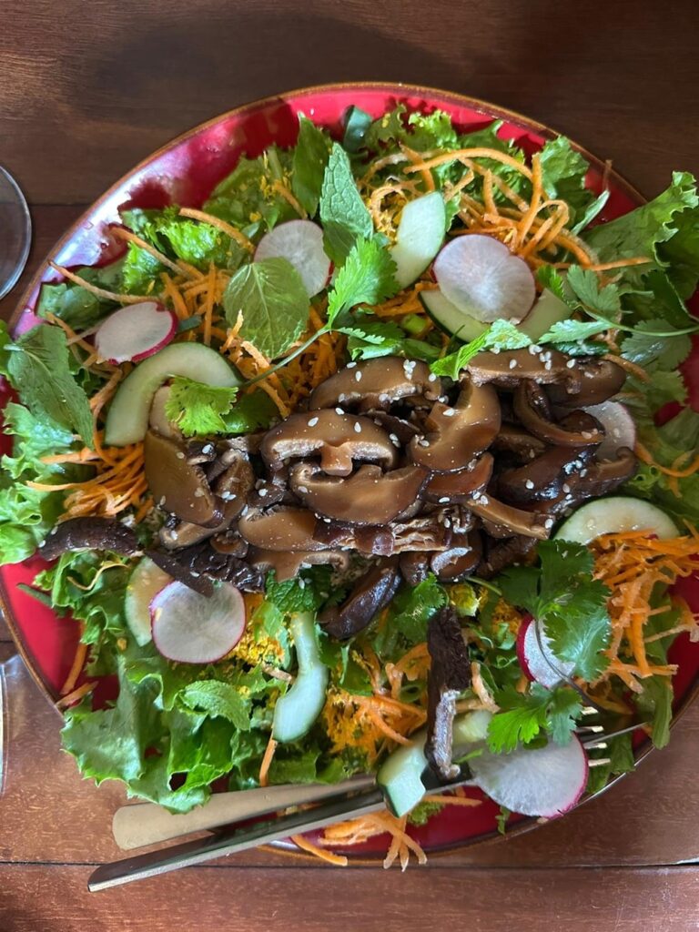 colorful salad with roasted mushrooms at cafe rojo in san jose