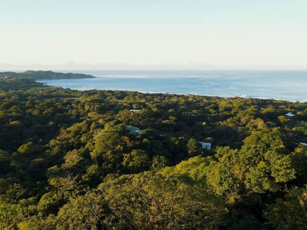 view of the jungle and ocean from tierra magnifica hotel in costa rica