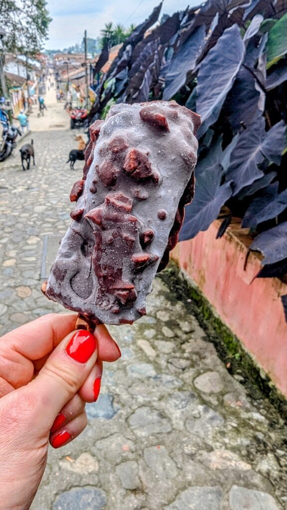 a vegan chocolate and nut covered ice cream bar held on a street in colombia