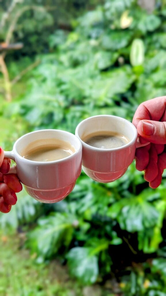 two small white cups of coffee held in front of lush green foliage on a coffee farm in colombia