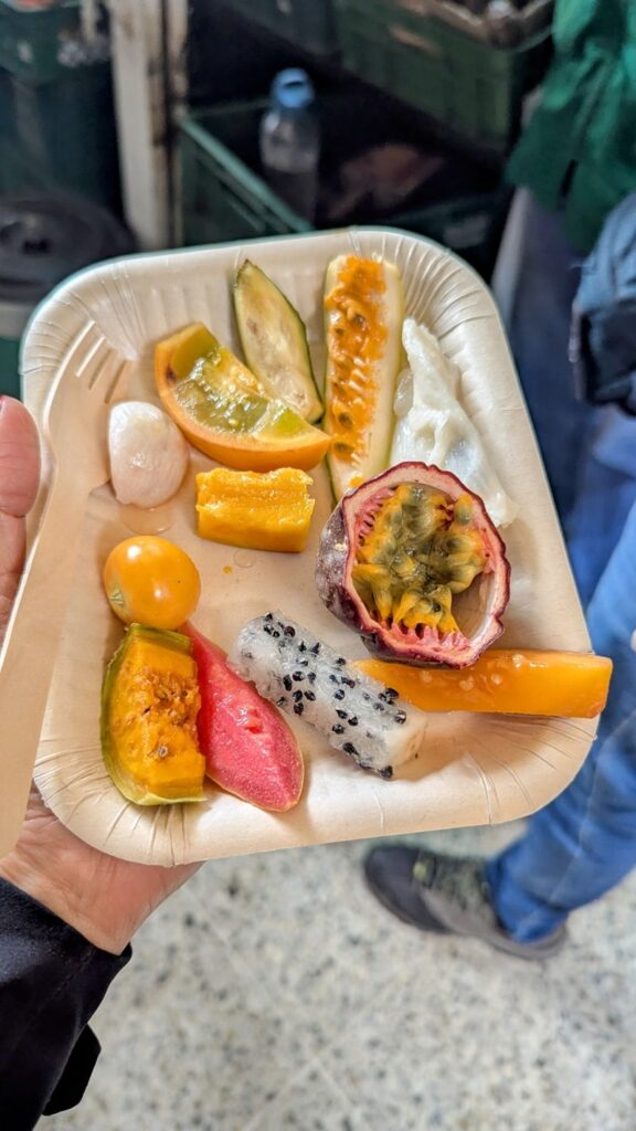 a small rectangle plate with a mix of cut tropical fruit at a market in colombia