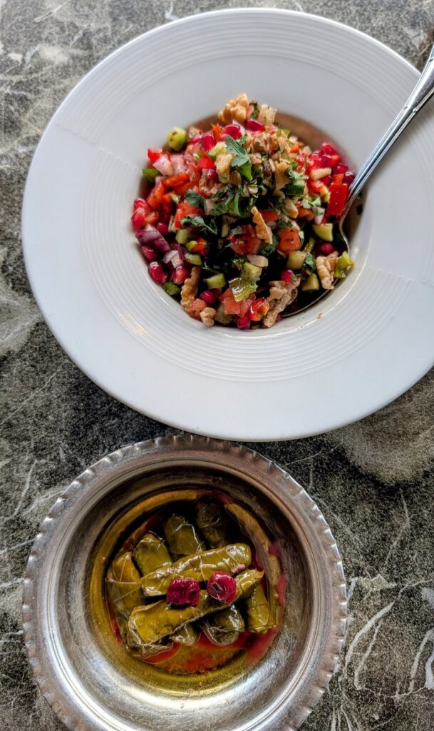 two vegan mezze dishes, one grape leaves and the other a pomegranate salad at Galeyan Restaurant