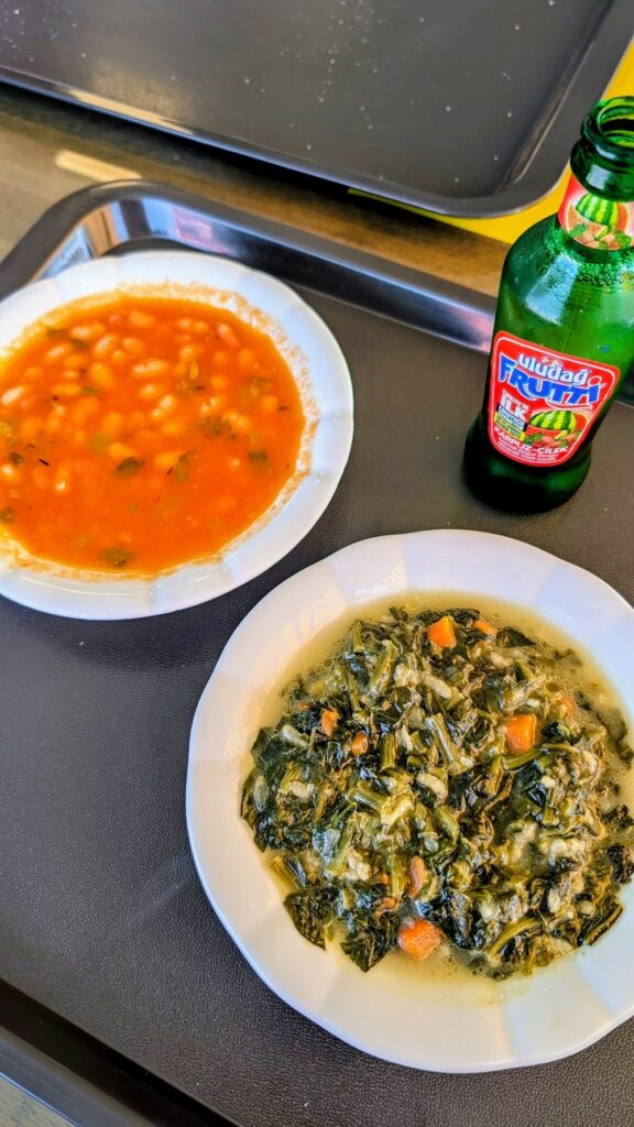 a bowl of vegan bean soup next to a bowl of spinach at a rest stop in turkey