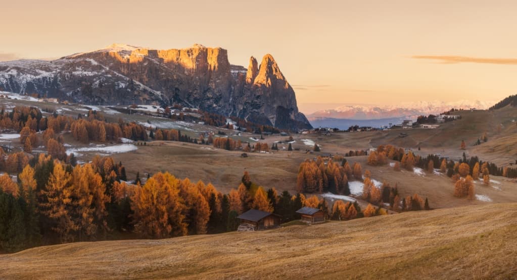 beautiful sunset with a row of colorful autumn trees in the dolomites in italy