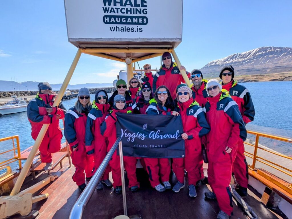 group of travelers all dressed in red jumpsuits on a whale watching tour in iceland
