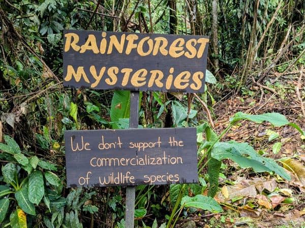 rainforest mysteries jungle path at the eco lodge finca luna nueva in costa rica