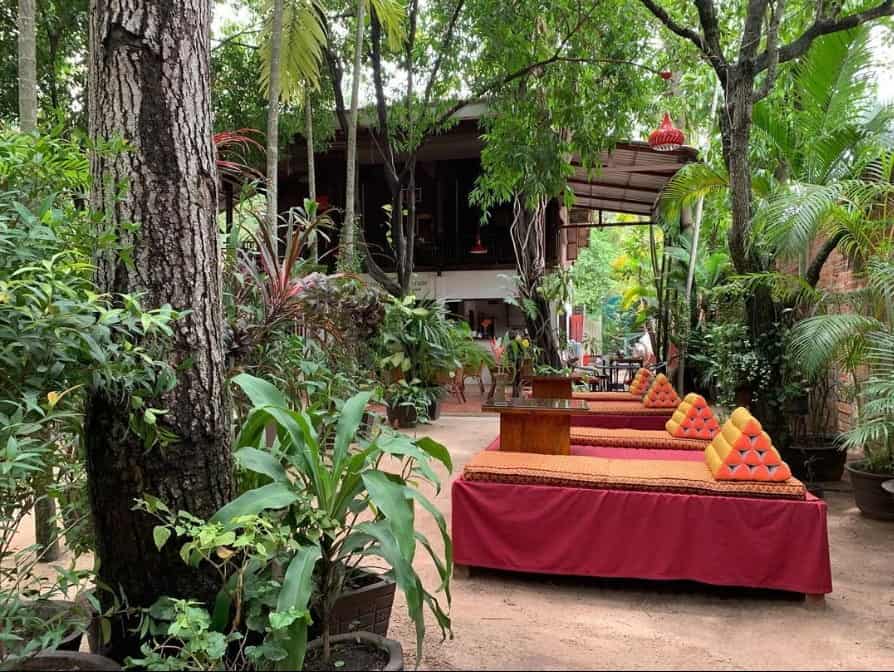 quiet and green outdoor patio filled with lush plants and a red seating area at peace cafe in siem reap
