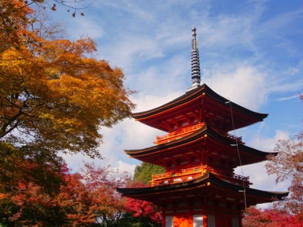 red temple in tokyo surrounded by the fall foliage