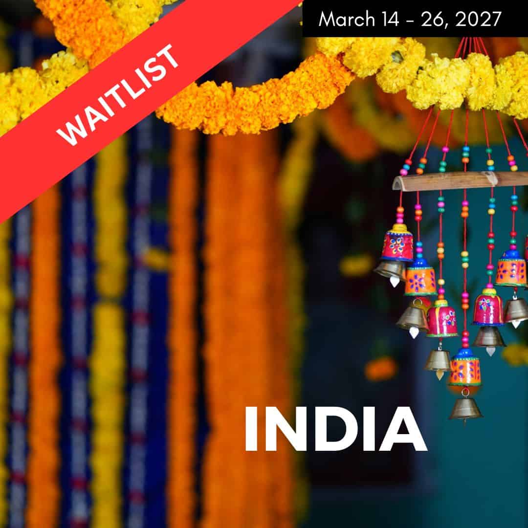 colorful background image to promote a vegan womens only tour to india