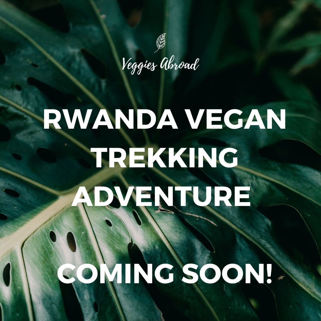promotional image for a vegan tour to Rwanda