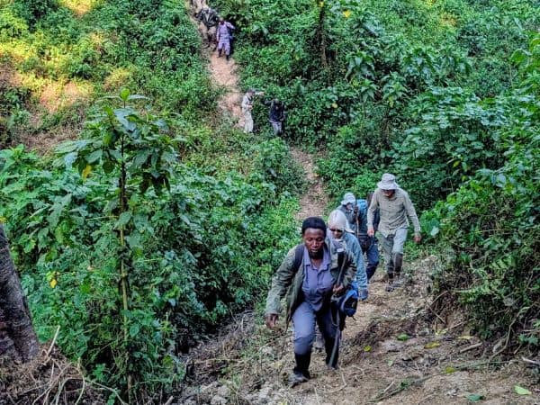 a group of people hiking up a hill in the lush green forest in uganda