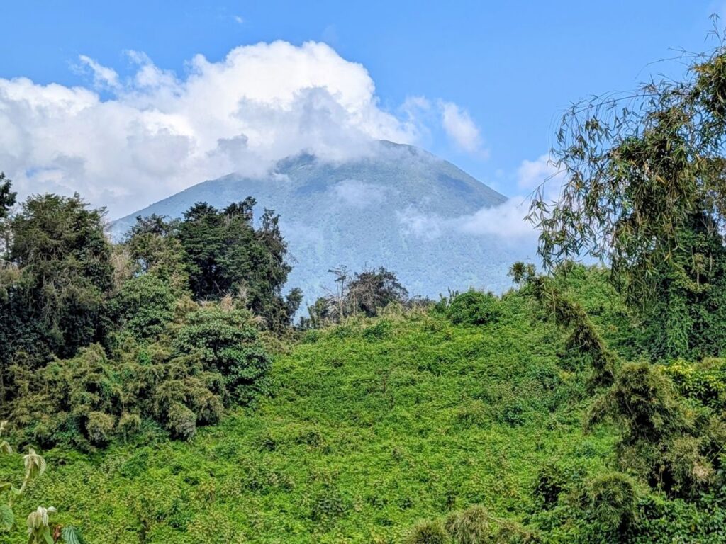 Virunga mountains surrounded by puffy white clouds on a bright and sunny day in volcanoes national park